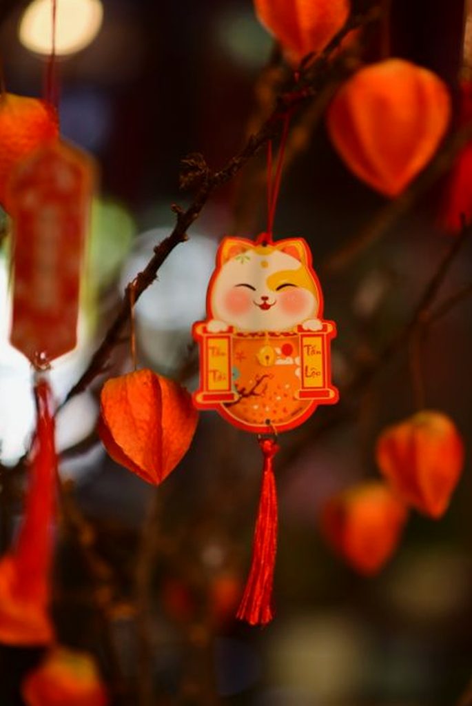 mậu binh di động 8Day